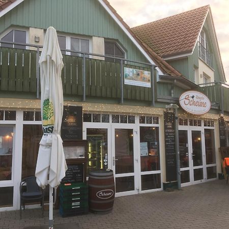 Fewo II Villa Nicole Hafenstrasse 37 Zingst Εξωτερικό φωτογραφία